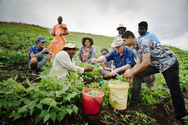 Alle Fiji si coltiva il cambiamento