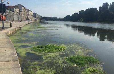 [Rete Ambientalista] Come il Po è diventato il fiume più contaminato d’Europa