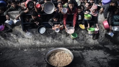 palestinesi cercano cibo